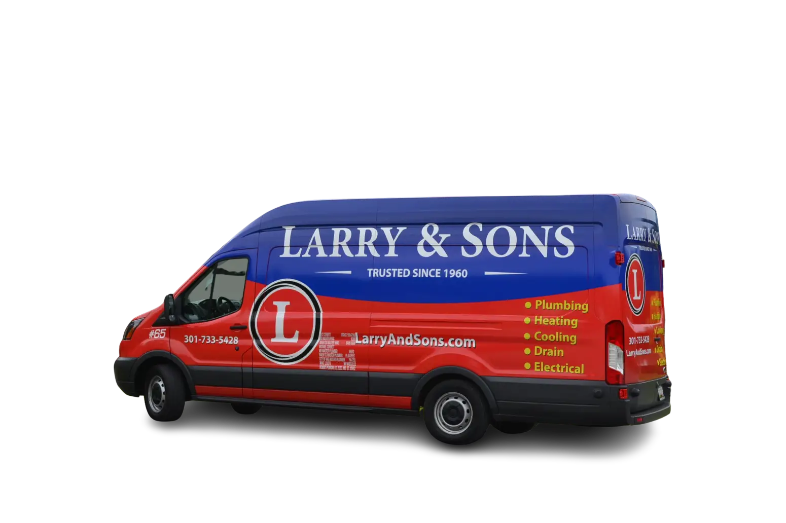 What To Expect Image