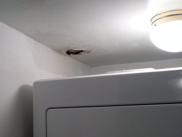 Any water that leaks in will damage your ceiling and walls. Image courtesy of Michael Mandiberg.