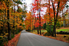 fall furnace maintenance